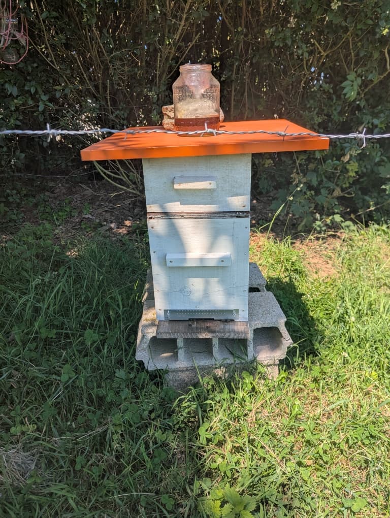 Nos amies, les abeilles ! 3