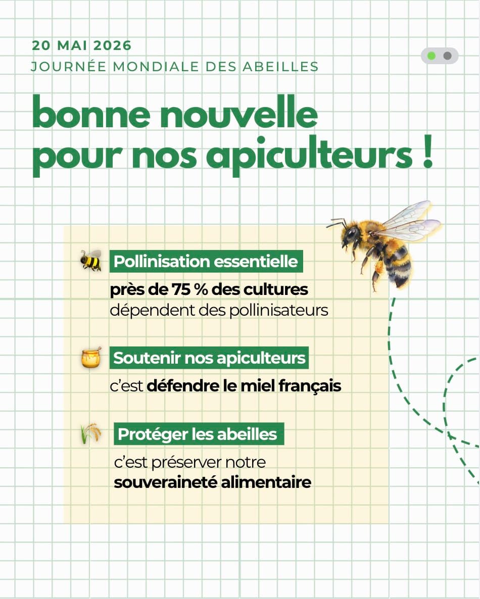 Nos amies, les abeilles ! 6