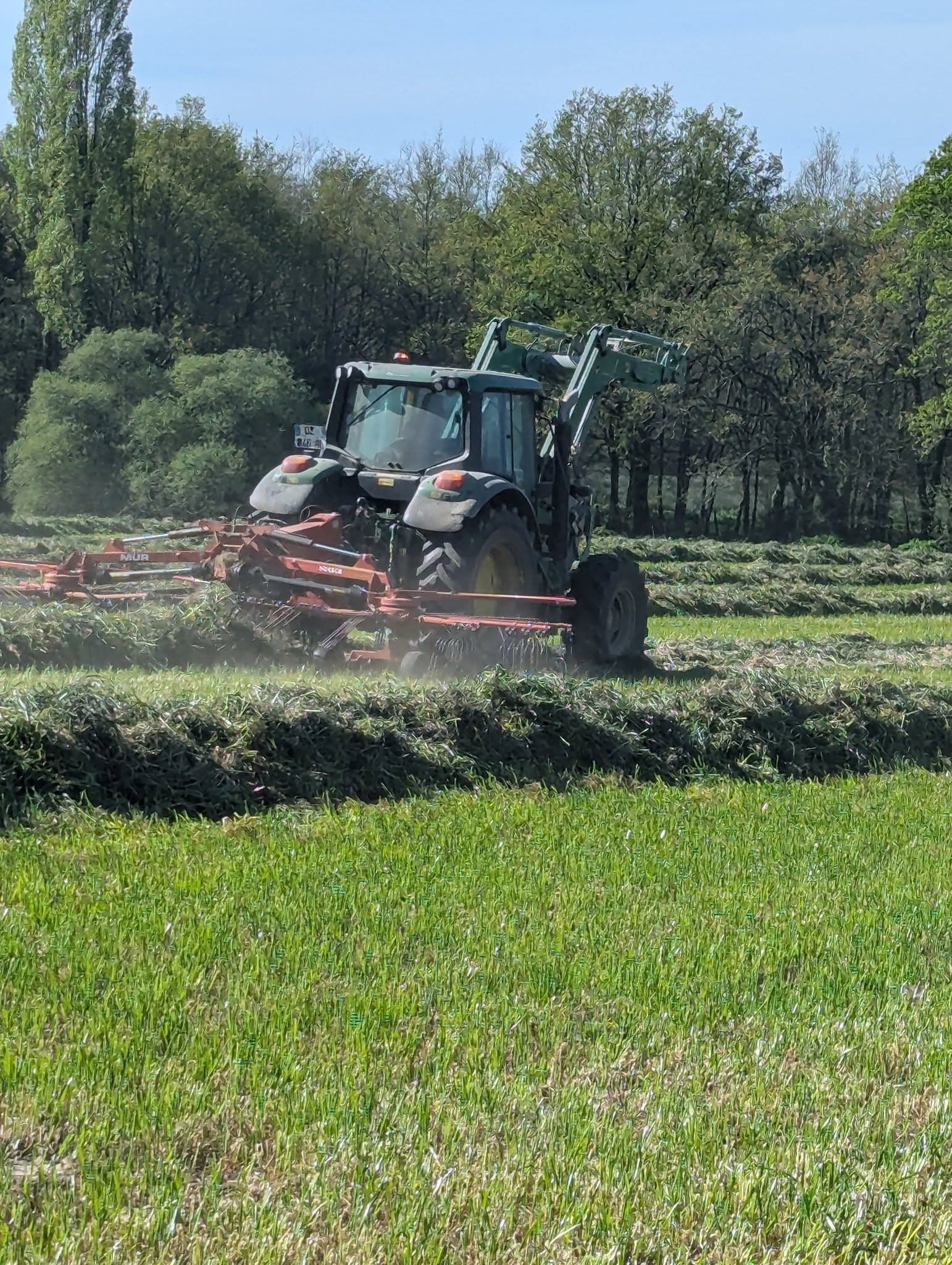 C'est le  printemps, tout le monde dehors! 2