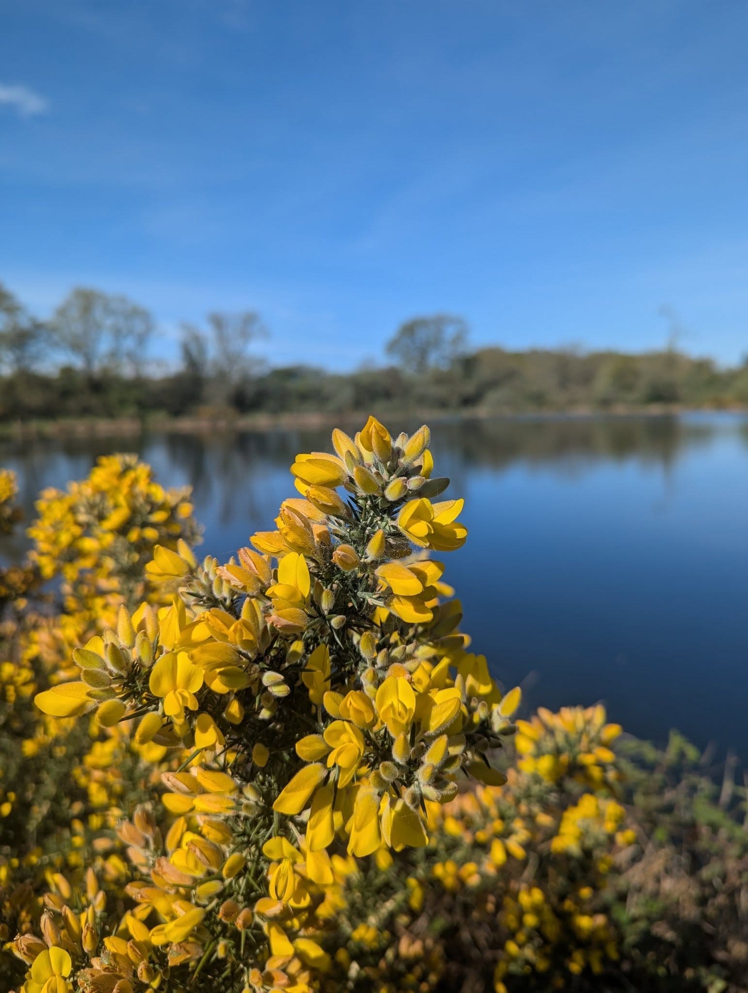 C'est le  printemps, tout le monde dehors! 4