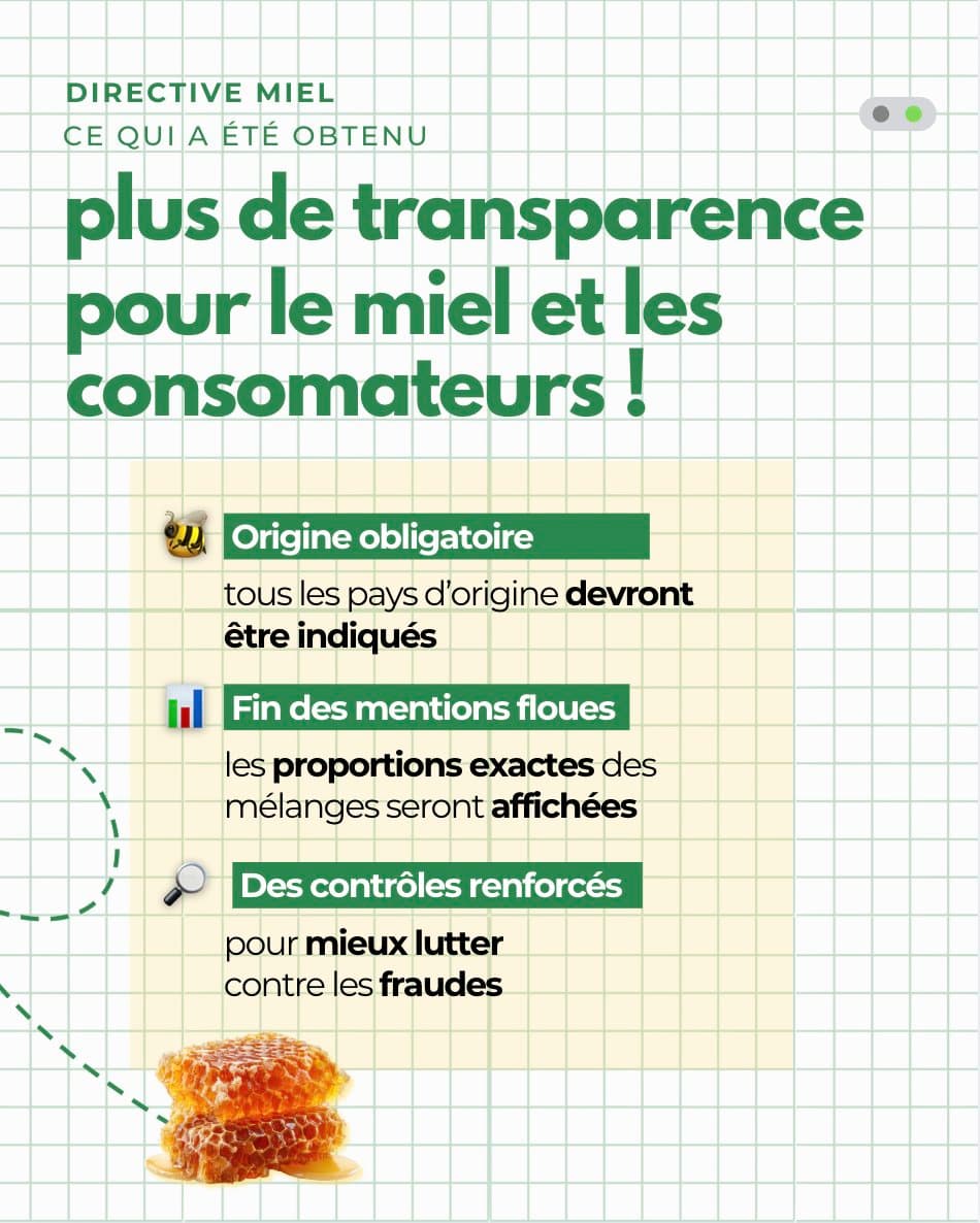 Nos amies, les abeilles ! 7