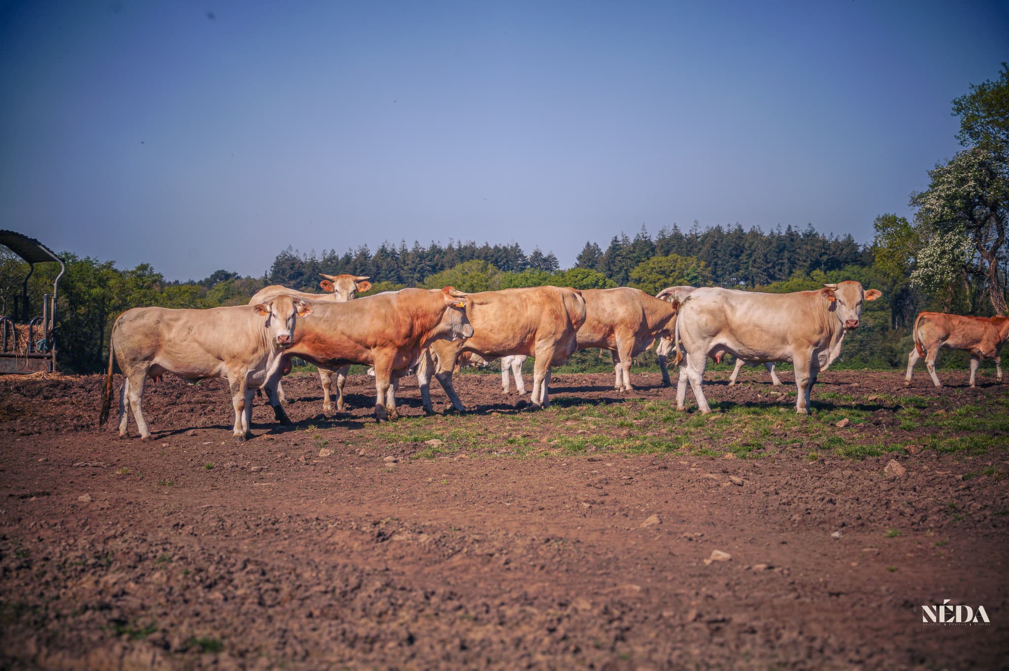 L'élevage GAEC des 3 Horizons