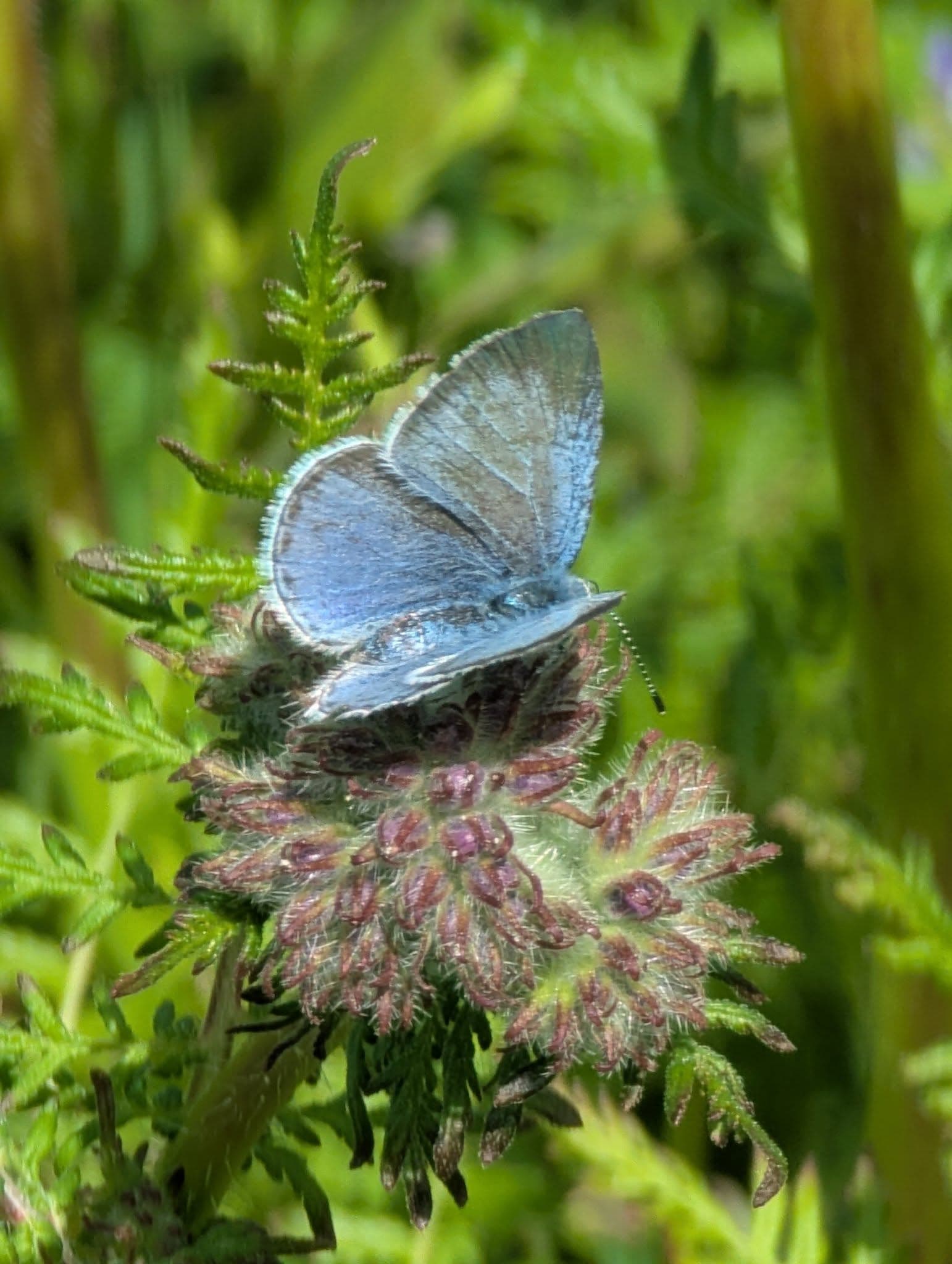 C'est le  printemps, tout le monde dehors! 5